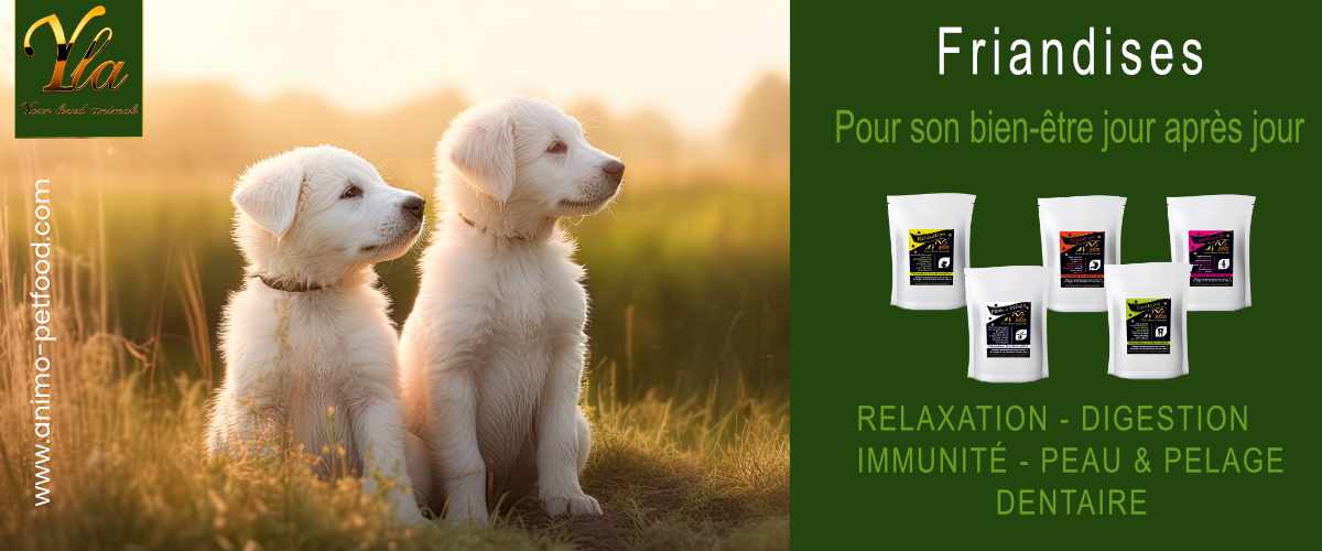 friandises_relaxation_digestion_immunite_peau_pelage_dentaire_chien